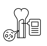 Bone Marrow Evaluation